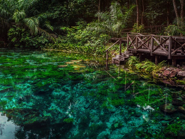 Explore Northern Brazil & Amazon