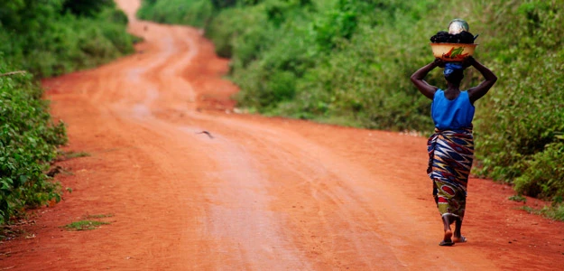 The Voodoo Trail