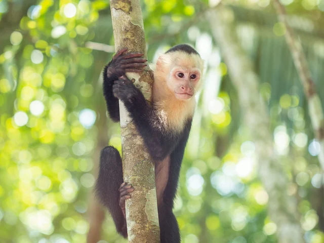 Explore Machu Picchu