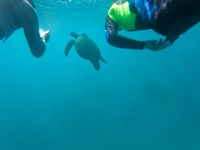 Galápagos Multisport with Quito