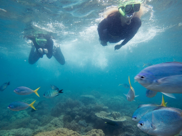 East Coast Encompassed: Sydney to Cairns