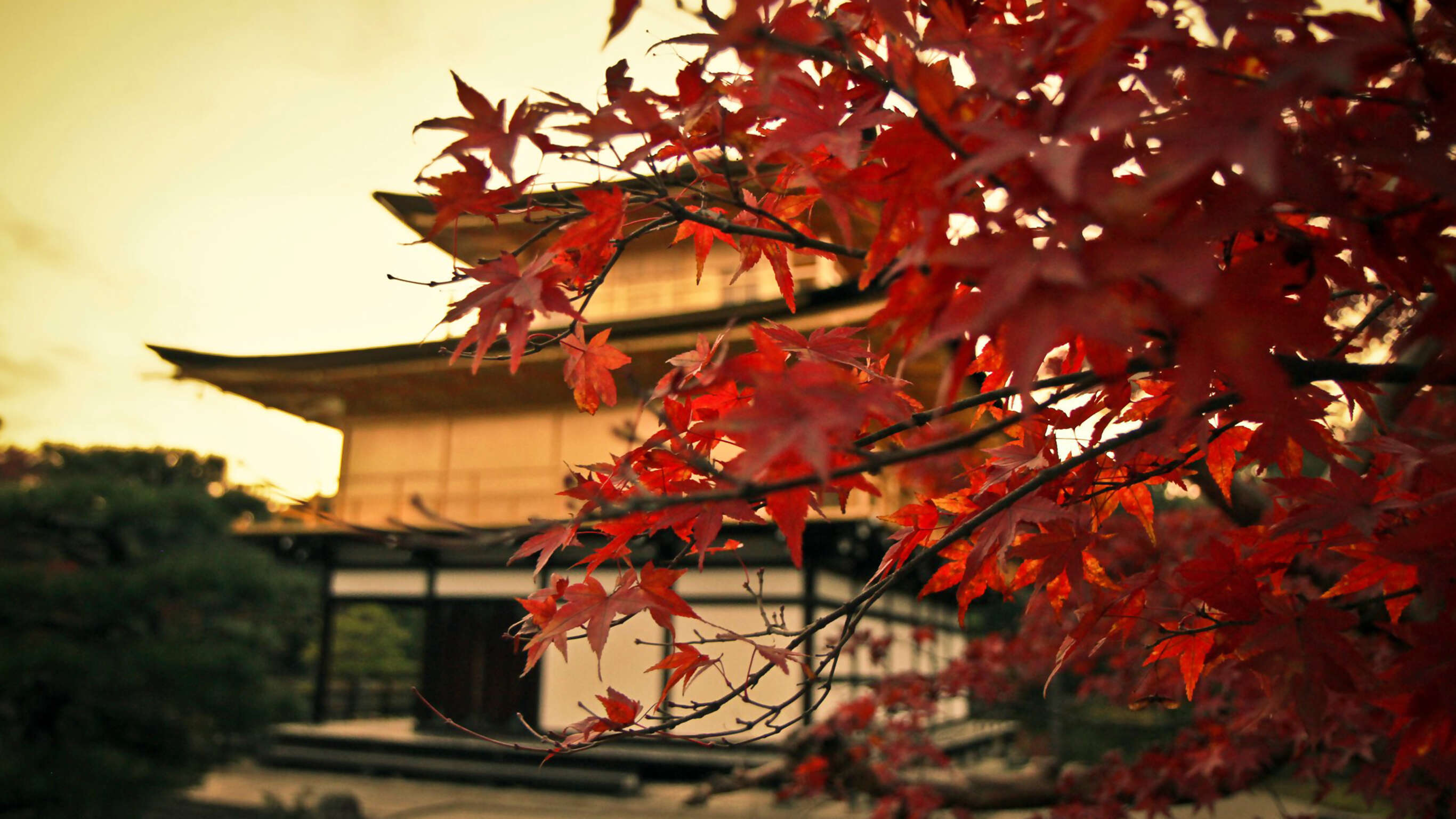 Highlights of East Asia: Japan, South Korea, and China