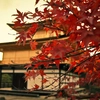Highlights of East Asia: Japan, South Korea, and China