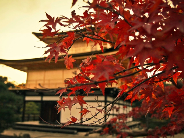 Highlights of East Asia: Japan, South Korea, and China