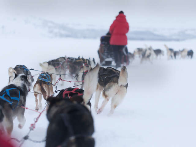 Lapland Active Adventure