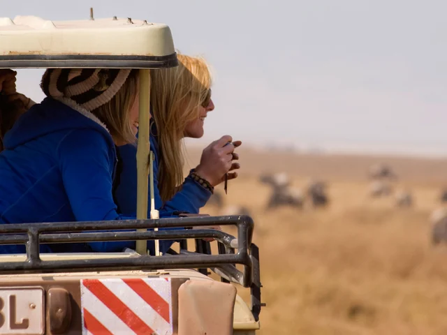 Kenya Safari Experience