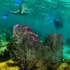 Explore Belize