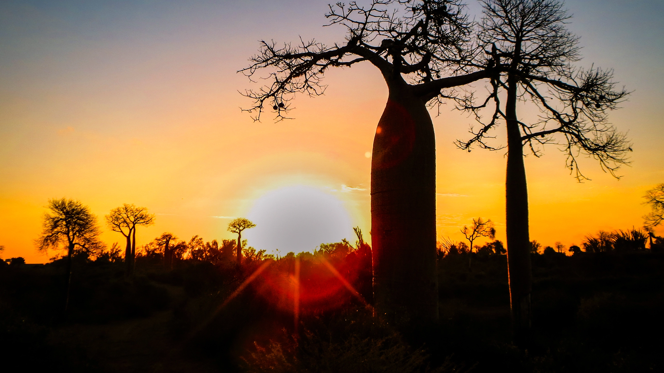 Madagascar - Baobab & Tsingy Explorer