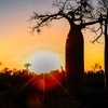 Highlights of Haiti