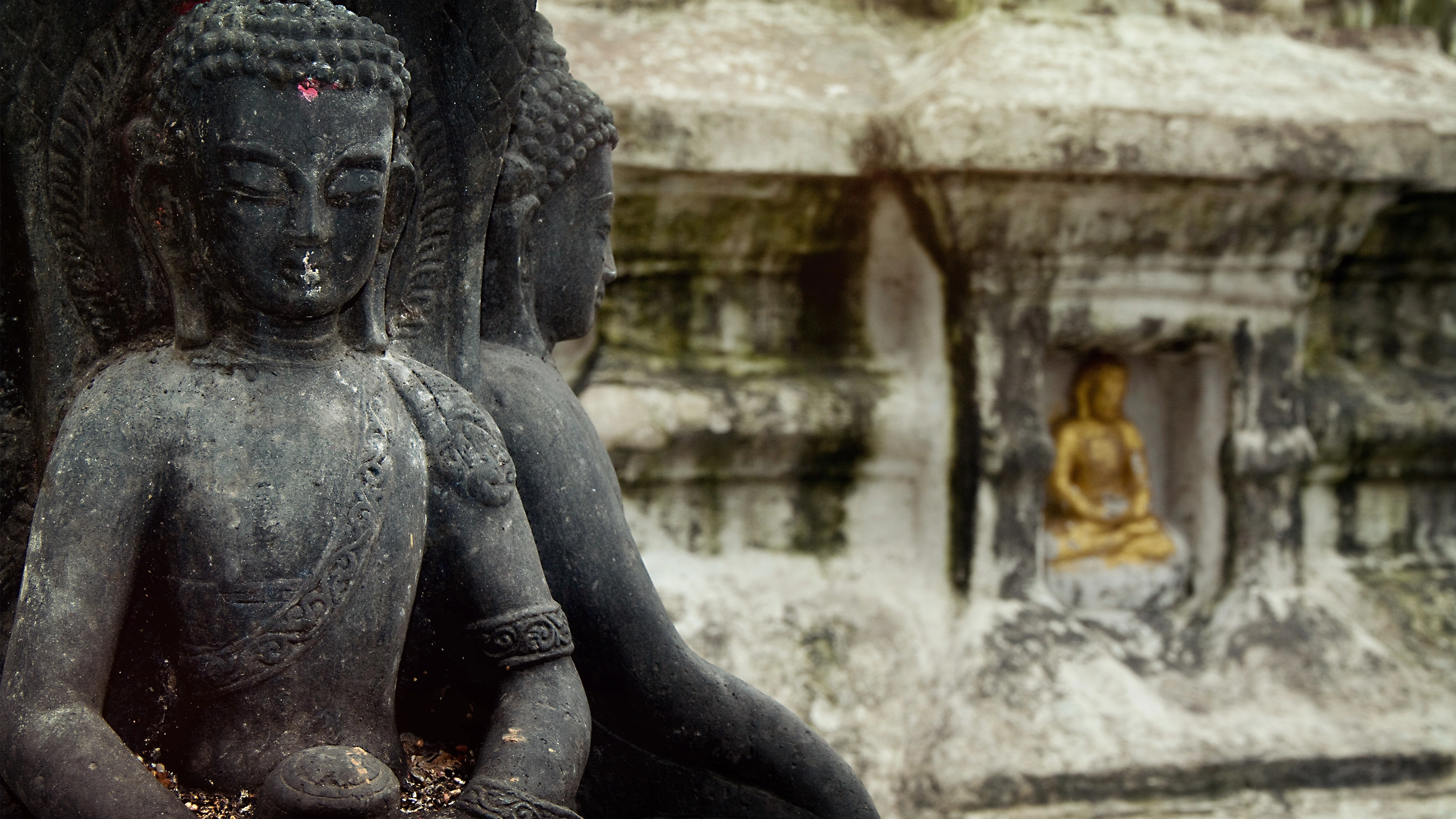 India & Nepal Explorer