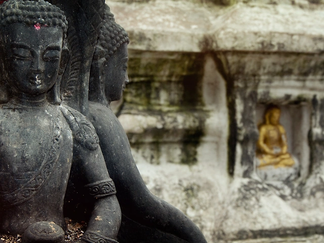 India & Nepal Explorer