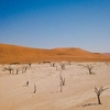 Discover Namibia & Victoria Falls
