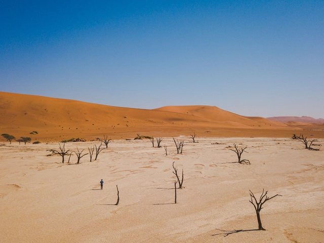 Discover Namibia & Victoria Falls