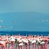 Kenya Overland Adventure