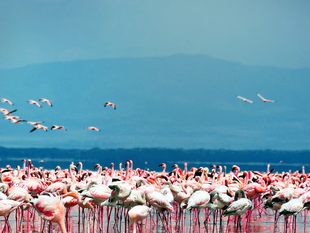 Kenya Overland Adventure