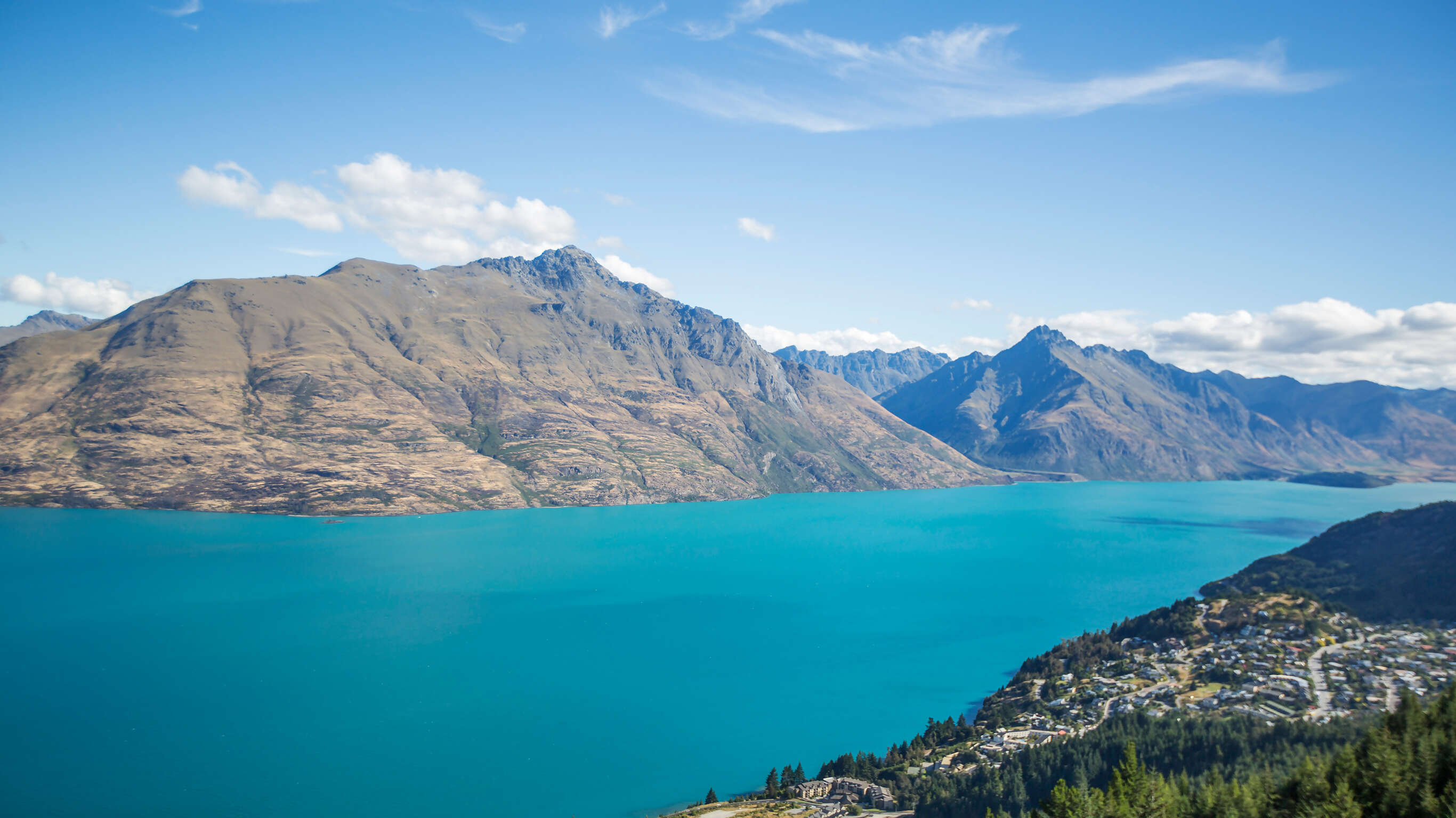 New Zealand Express — Plus