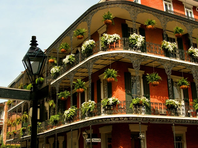 Spotlight on New Orleans