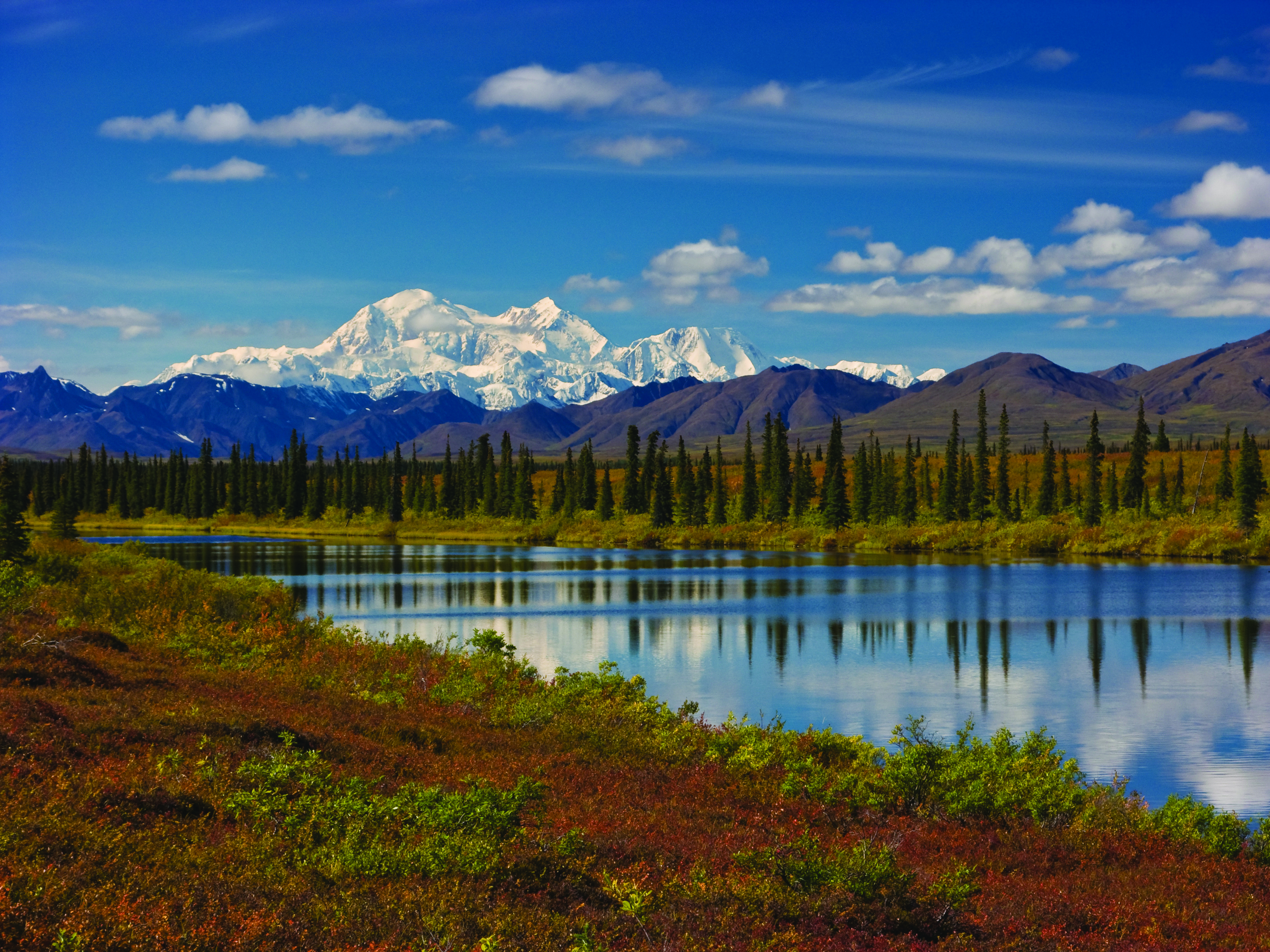 Alaska Discovery Land & Cruise featuring a 7-night Princess Cruise