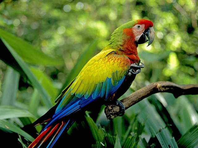 Exploring New Zealand featuring the North & South Islands