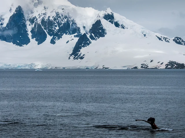 Journey to the Antarctic Peninsula