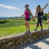 Walk the Camino de Santiago — Plus