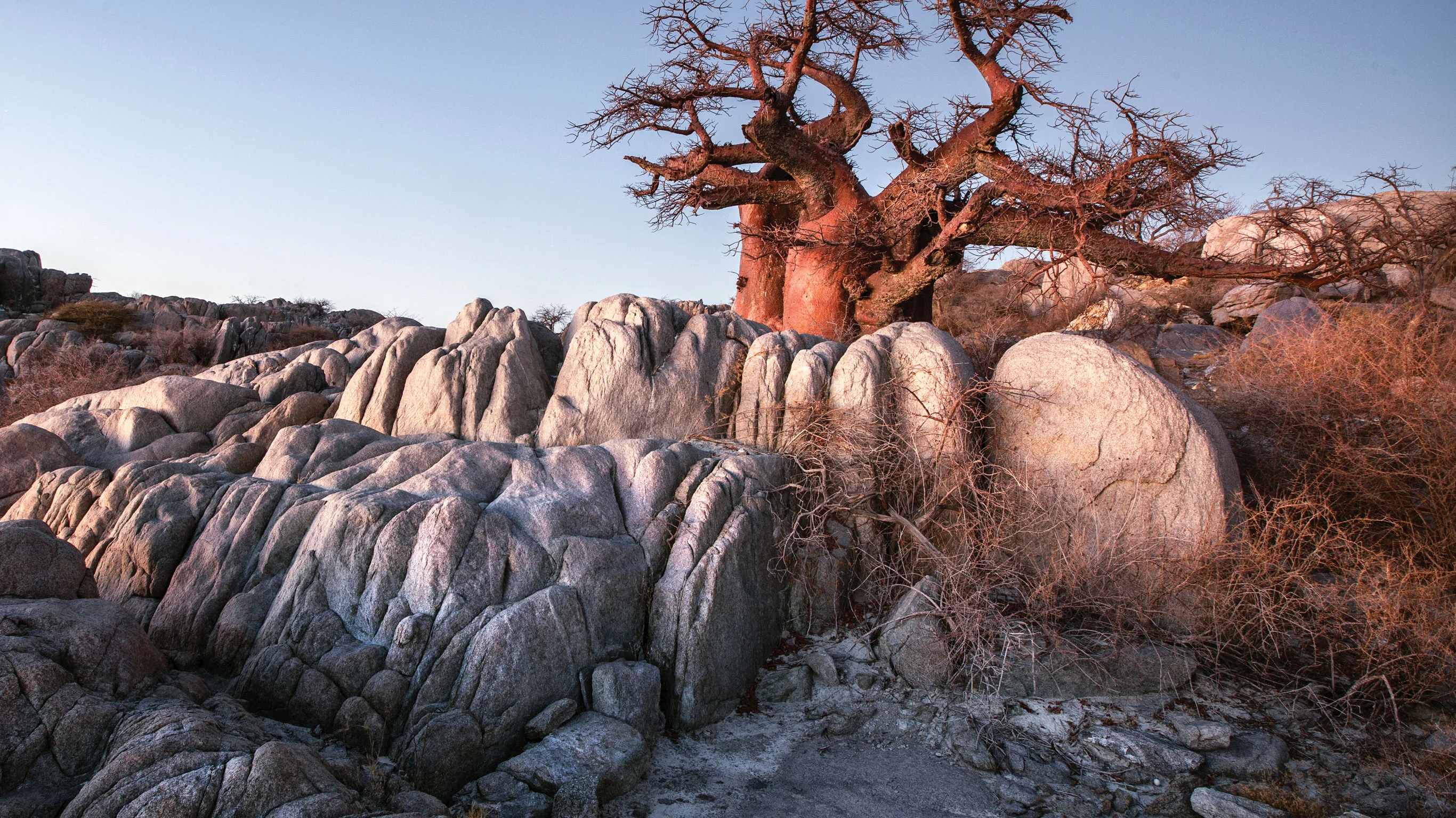 Kruger, Victoria Falls & Botswana Safari