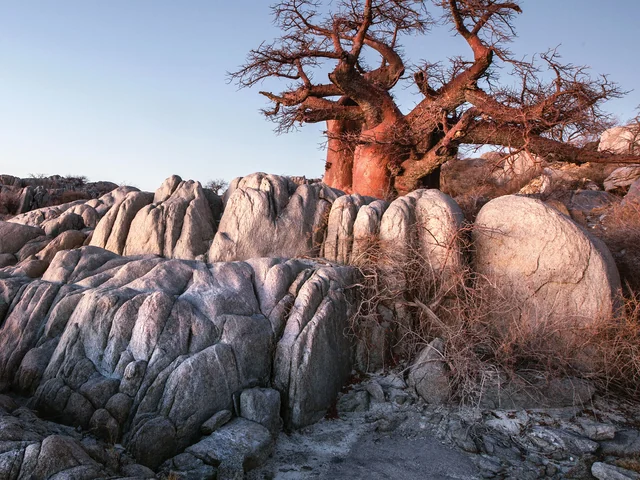 Kruger, Victoria Falls & Botswana Safari