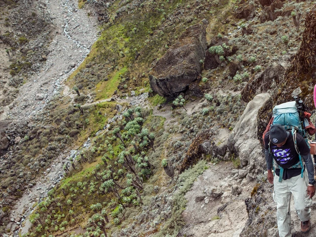 Kilimanjaro – Machame Route & Serengeti Adventure