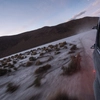 Andes to the Atlantic Experience