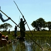 Delta & Falls Eastbound: Baobab Trees & River Views