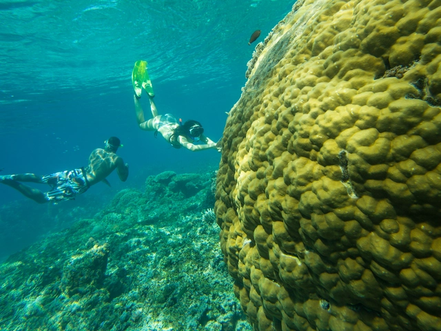 Rajasthan Adventure — Plus