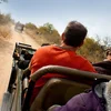 Cape Town & Kruger Encompassed