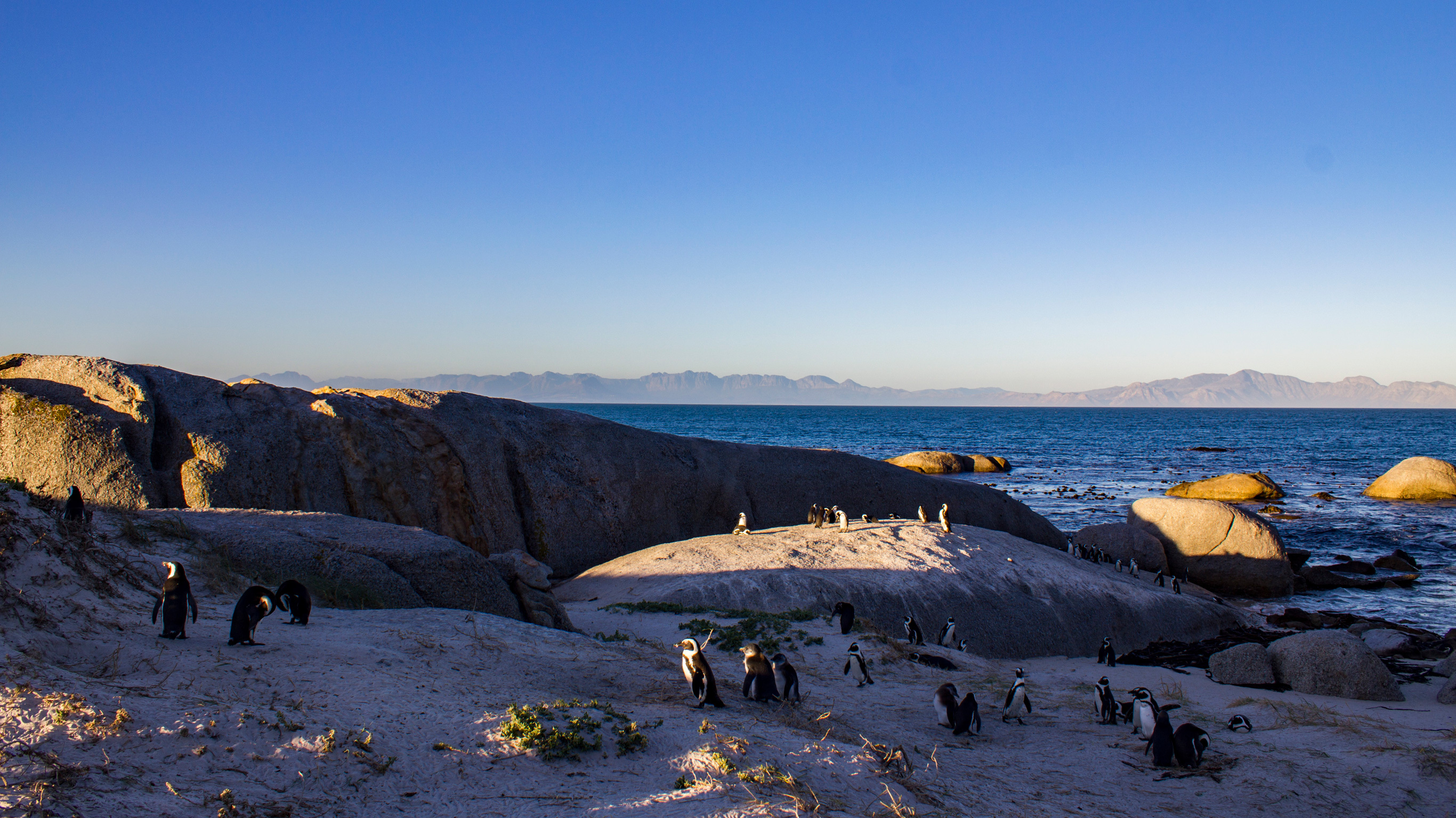 TailorMade Southern Africa: Cape Town, Safaris & Victoria Falls