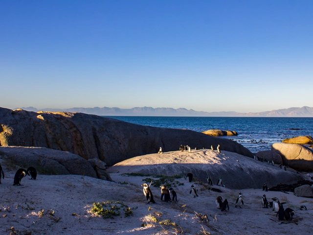 TailorMade Southern Africa: Cape Town, Safaris & Victoria Falls