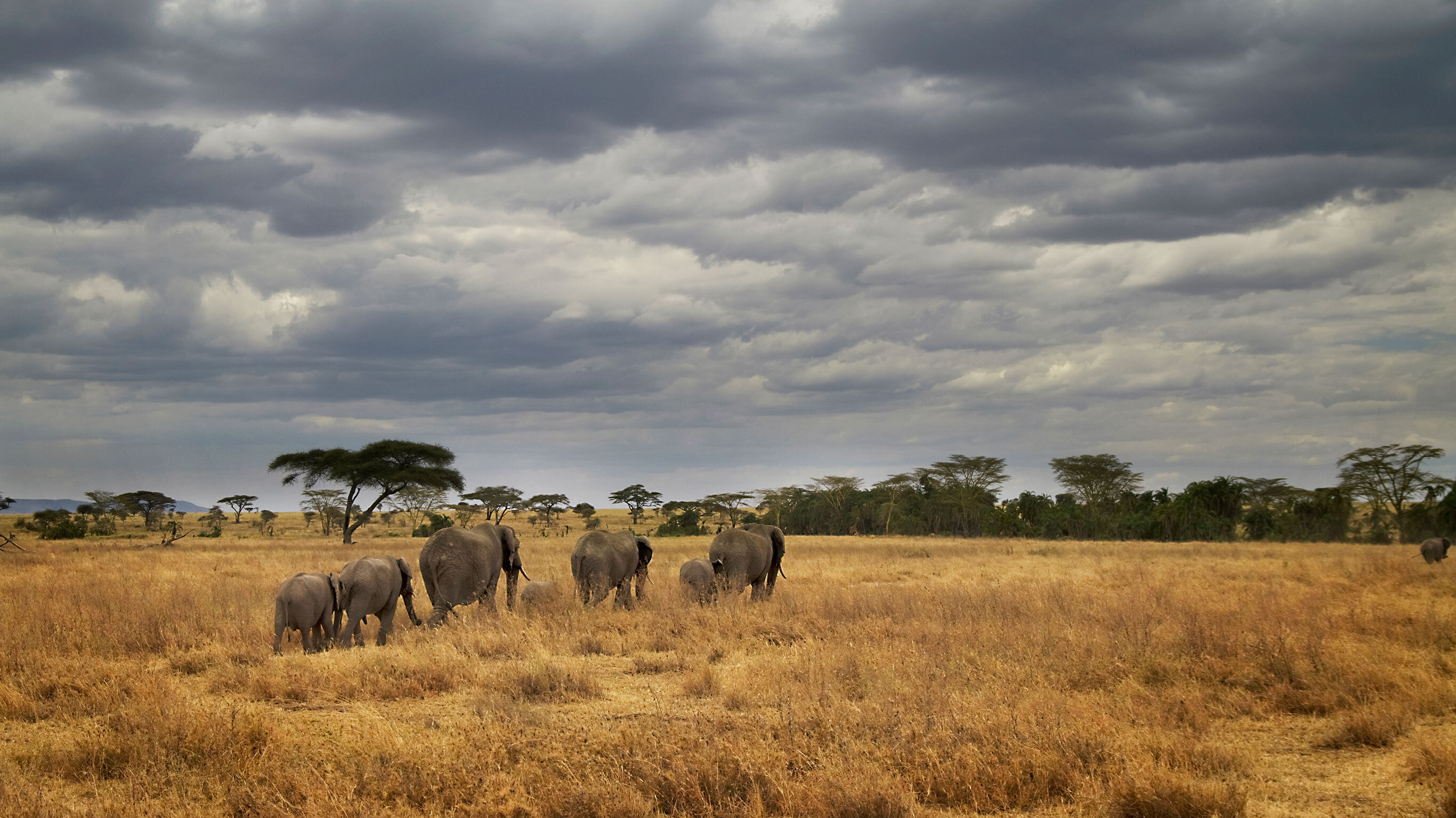 Masai & Tanzania Camping Safari