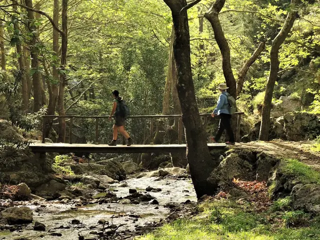 Zanzibar Independent Adventure - Upgraded