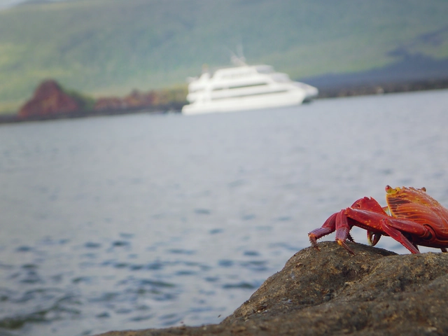 Ecuador and Galápagos Explorer