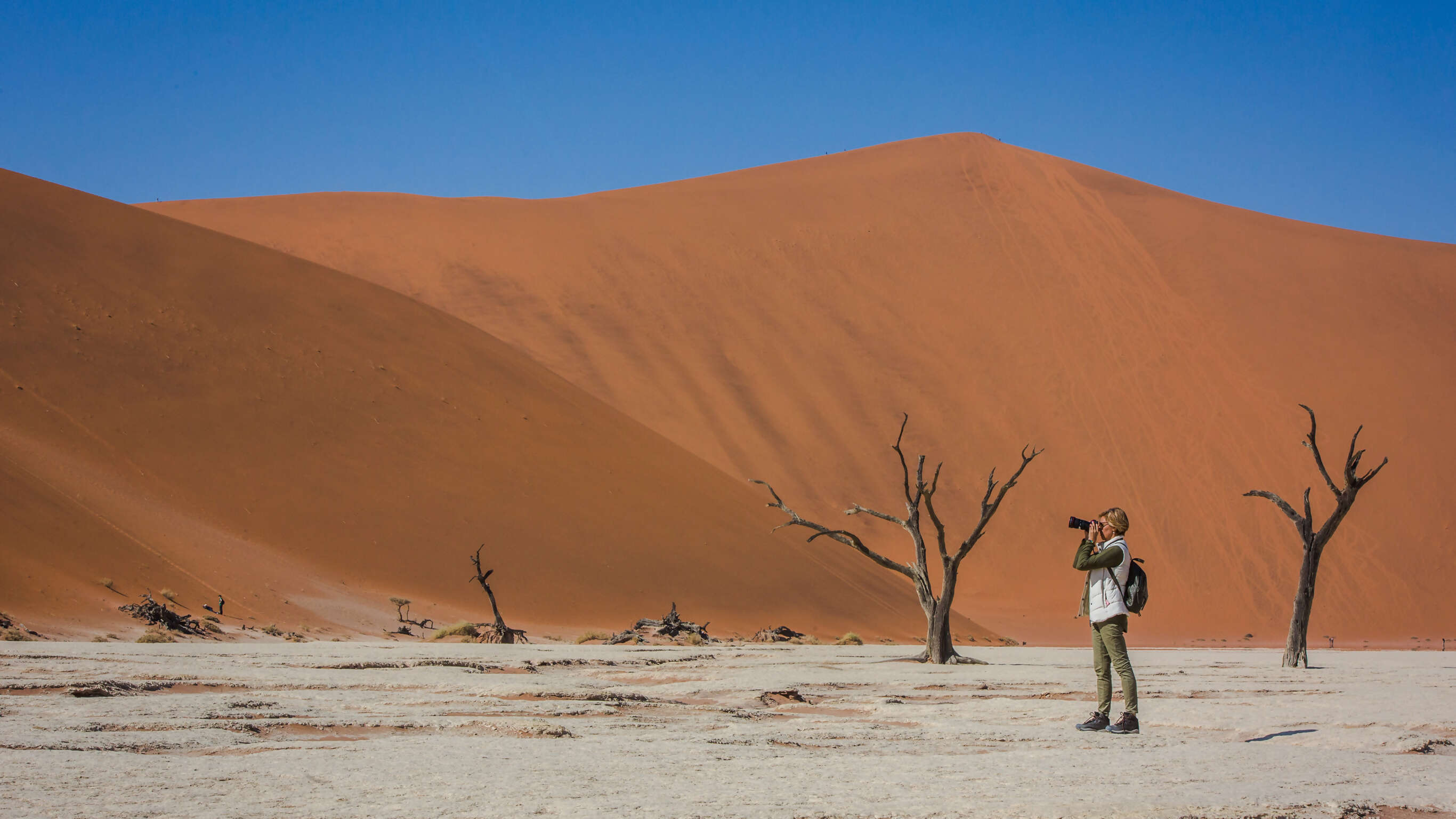 Southern Africa: Desert, Wildlife & Falls