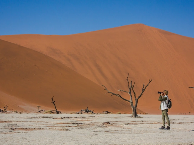 Southern Africa: Desert, Wildlife & Falls