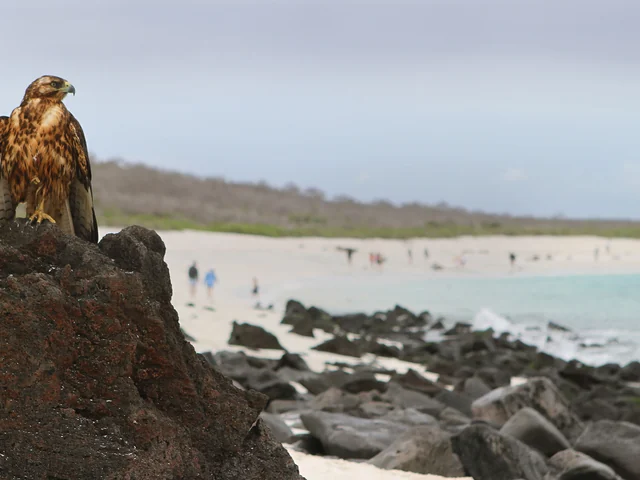 Islands of the Philippines on a Shoestring