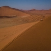 Cape & Dunes Northbound: Wildlife & Starry Night Skies