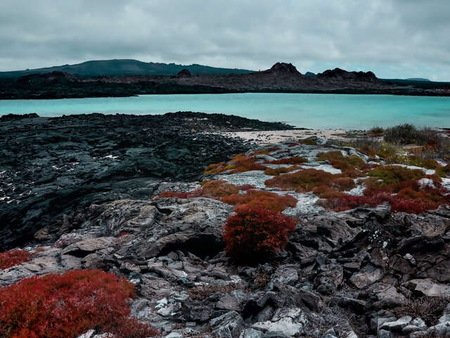 Galápagos — North, Central & South Islands aboard the Estrella del Mar