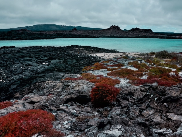 Galápagos — North, Central & South Islands aboard the Estrella del Mar