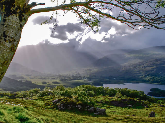 Ireland Explorer