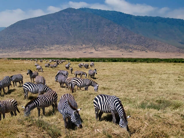 Tanzania & Zanzibar Adventure