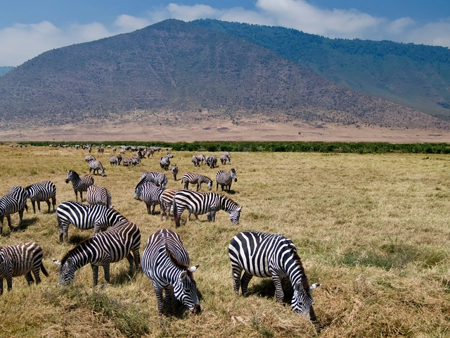 Tanzania & Zanzibar Adventure