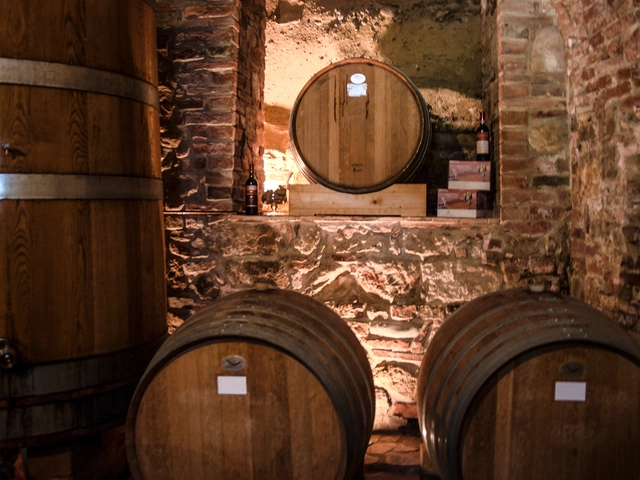 Mendoza Wineries Independent Adventure