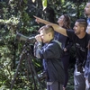 Costa Rica Family Journey: From Rainforest to Coast