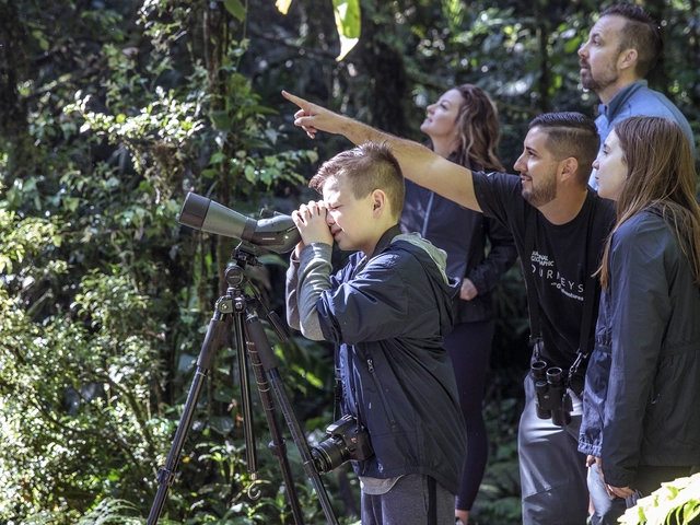 Costa Rica Family Journey: From Rainforest to Coast