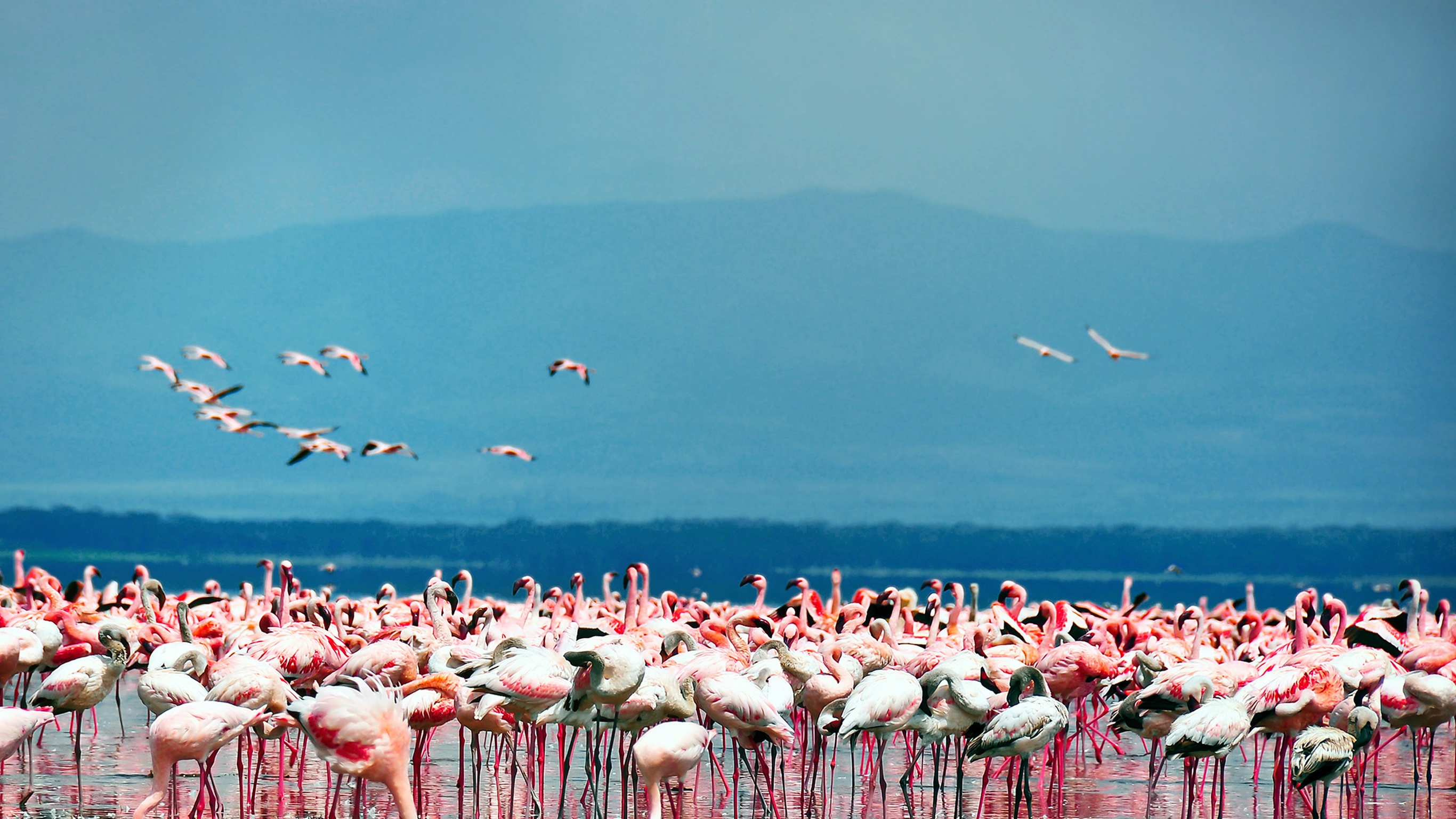 Kenya Overland Adventure